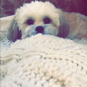 Meet your Posher, Maria